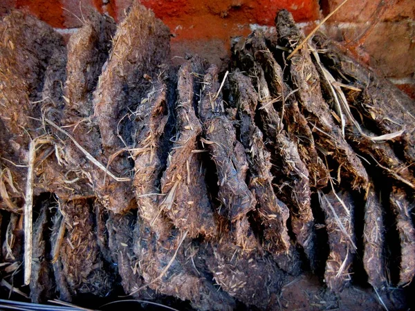 İnek gübresi kekleri. Yakıt olarak da inek gübresi kullanılıyor.