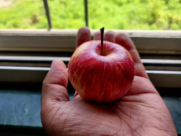 Una Persona Sosteniendo Una Pequeña Manzana Roja Madura Mano — Foto de Stock