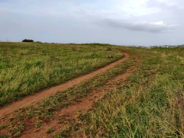 Tepelerin Ardında Uzanan Eski Bir Toprak Yol — Stok fotoğraf