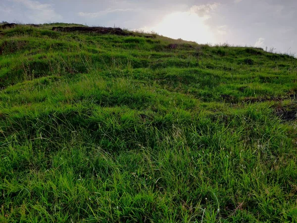 Cima Una Colina Está Cubierta Hierba Verde — Foto de Stock