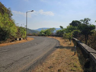 Kavisli tepe yolu boş viraj yolu güneşli bir yamaçtaki ağaçlar ve sokak lambalarıyla çevrili yol özgürlüğü, yalnızlığı ve keşfi simgeliyor..