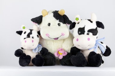 Biz en iyi arkadaşız