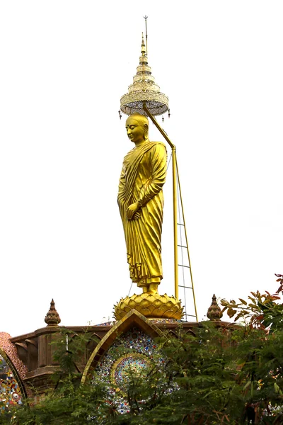 Buddha — Stock Photo, Image