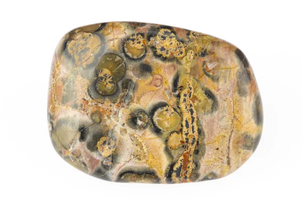 Polished Jasper — Stock Photo, Image