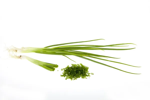 Green onion chives — Stock Photo, Image