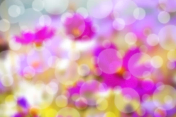 Primavera Bokeh — Foto Stock