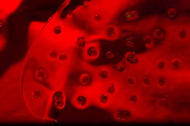 Yağ ve Su damlacıkları