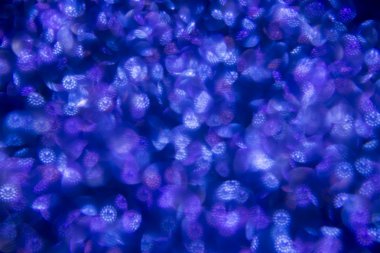 Soyut mavi pırıltılı glitter arka plan