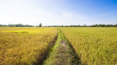Çiftçiler geçirilmesi.