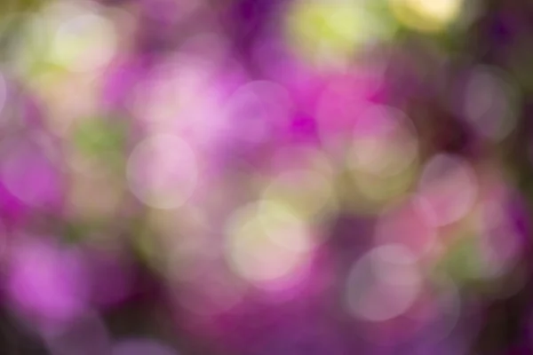 Bahçe güzel multi renk bokeh. — Stok fotoğraf