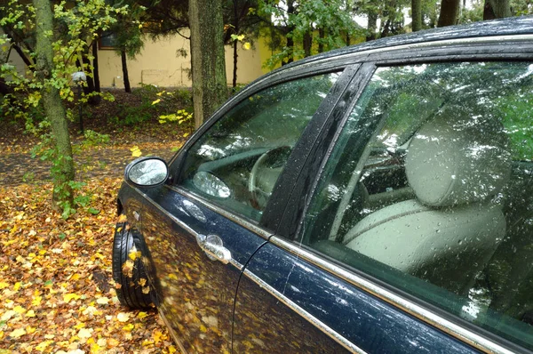 autumn rain. car parking in autumn