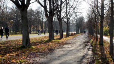  Güz Parkı. Cumartesi akşamı. Parktaki patikalar