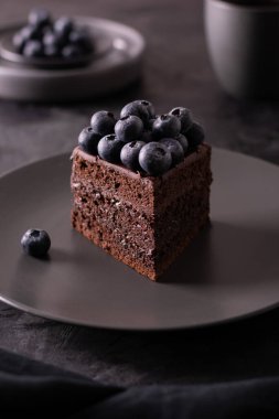 Bir parça çikolatalı pasta, yabanmersinli, sade, kasvetli.