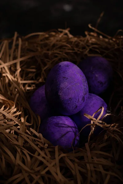 Heldere Paarse Paaseieren Het Nest — Stockfoto