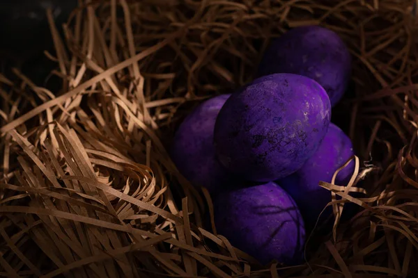 Leuchtend Violette Ostereier Nest — Stockfoto