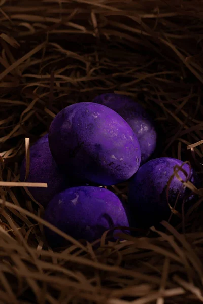 Bright Purple Easter Eggs Nest — Stock Photo, Image
