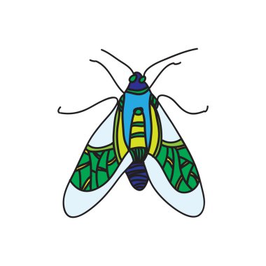 vektör renk böceği