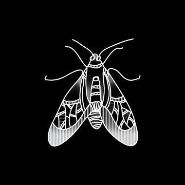 Vektör böceği. Güzel ornated böcek.