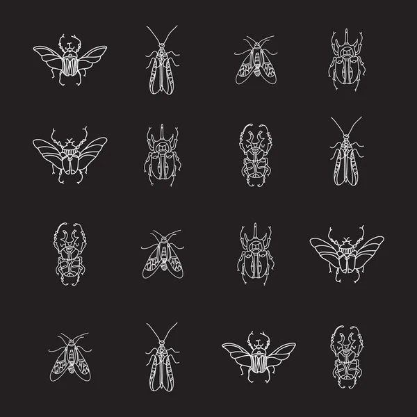 Vector seamless mönster med skalbaggar på svart bakgrund Vektorgrafik
