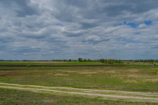 Spring Landscape Earth Road Fields Trees Rural Ukrainian Area — Stock Photo, Image