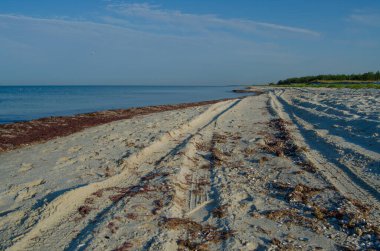 Kinburn Spit, Ukrayna 'daki sahil sahili yaz manzarası. Karadeniz 'in vahşi doğası