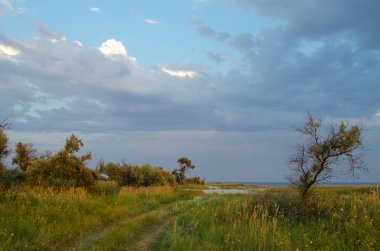 Kinburn Spit, Ukrayna 'daki sahil manzarası. Kinburn Foreland 'in vahşi doğası 