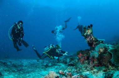 Divers are swimming and taking picture in Gili, Lombok, Nusa Tenggara Barat, Indonesia underwater photo. clipart