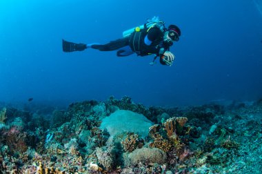 Dalgıç mercan resifleri Gili, Lombok, Nusa Tenggara Barat, Endonezya sualtı fotoğraf yukarıda yüzüyor