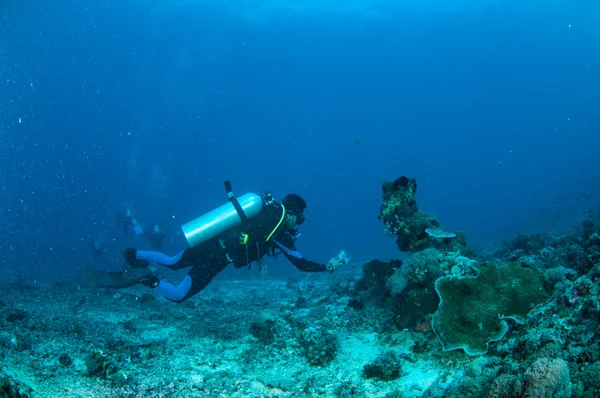 Diver az úszás és figyelembe képet a Gili, Lombok, Nusa Tenggara barát, Indonézia víz alatti fénykép. — Stock Fotó