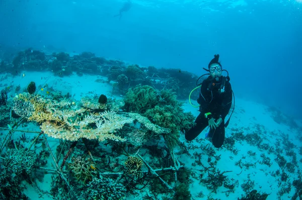 Дайвер и биороки в Гили, Ломбок, Нуса Тенггара Барат, Индонезия подводное фото — стоковое фото