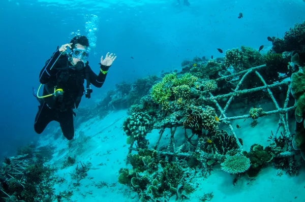 Dalgıç ve biorocks Gili, Lombok, Nusa Tenggara Barat, Endonezya sualtı fotoğraf içinde