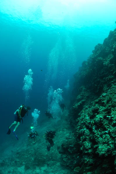 Búvárok és a meno fal Gili, Lombok, Nusa Tenggara barát, Indonézia víz alatti fénykép — Stock Fotó