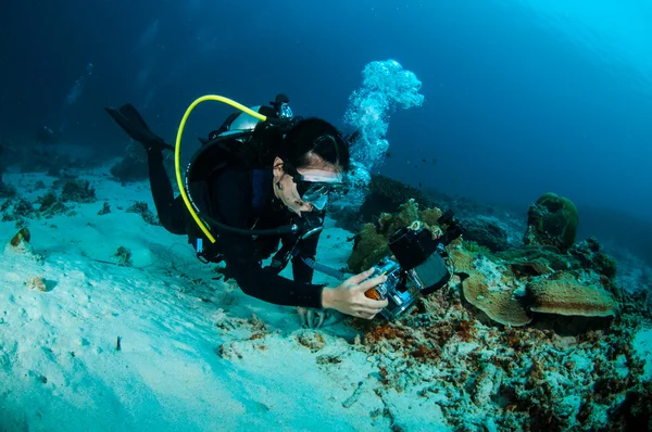 Búvár Gili, Lombok, Nusa Tenggara barát, Indonézia víz alatti fénykép — Stock Fotó