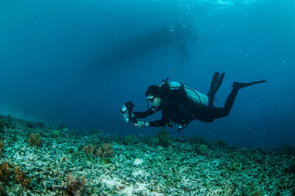 Buceador en Gili, Lombok, Nusa Tenggara Barat, Indonesia foto submarina — Foto de Stock