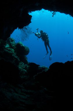 Gili, Lombok, Nusa Tenggara Barat, Endonezya sualtı fotoğraf içinde yüzme dalgıç