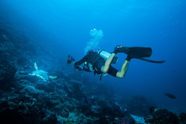 Derawan, Kalimantan, Endonezya sualtı fotoğraf Yüzme dalgıç ve yeşil deniz kaplumbağası