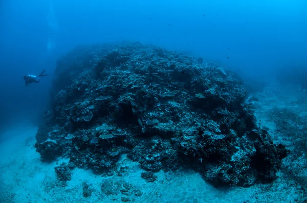 Buceador y varios arrecifes de coral en Gili, Lombok, Nusa Tenggara Barat, Indonesia foto submarina —  Fotos de Stock