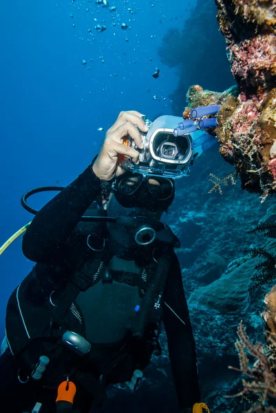 Nurek biorąc obraz osłonic w Derawan, Zdjęcie podwodne Kalimantan, Indonezja — Zdjęcie stockowe