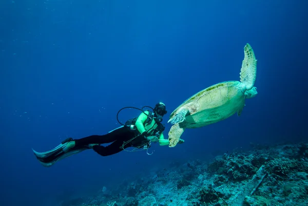 Dykare och grön havssköldpadda i Derawan, Kalimantan, Indonesien undervattensfoto — Stockfoto