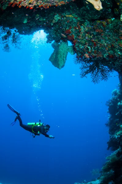 Diver swimming around in Banda, Indonesia underwater photo — Stock Photo, Image