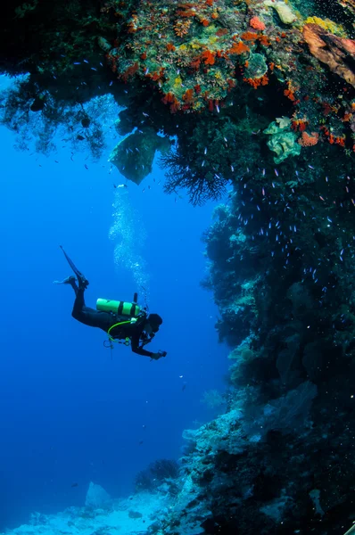 Дайвер плавает в Банде, Индонезия подводное фото — стоковое фото