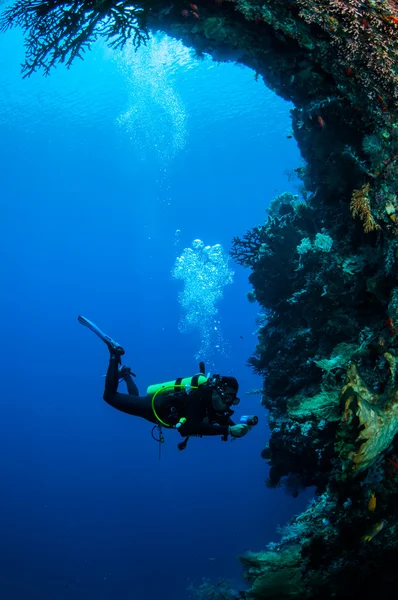 Buceador nadando en Banda, Indonesia foto submarina — Foto de Stock