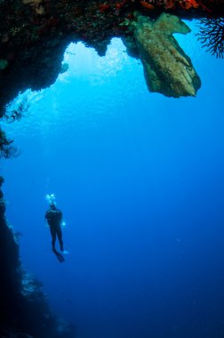Banda, Endonezya sualtı fotoğraf etrafında Yüzme dalgıç