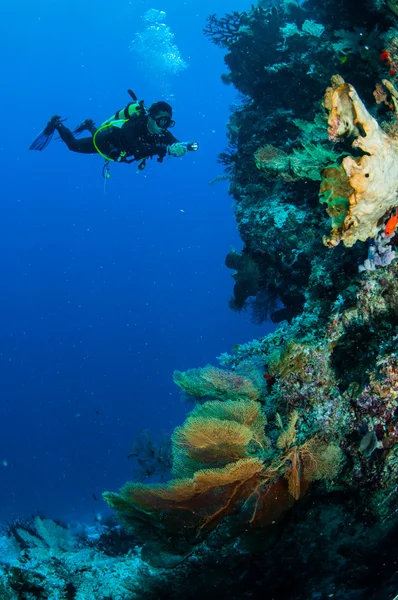 Diver swimming around in Banda, Indonesia underwater photo — Stock Photo, Image