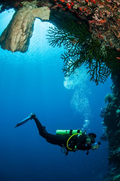 Diver swimming around in Banda, Indonesia underwater photo — Stock Photo, Image