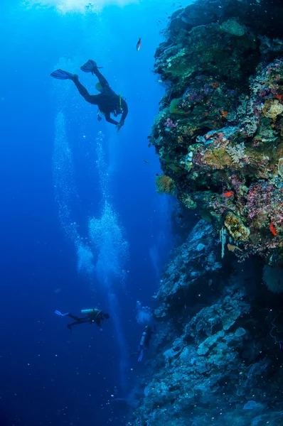 Divers are swimming in Banda, Indonesia underwater photo — Stock Photo, Image