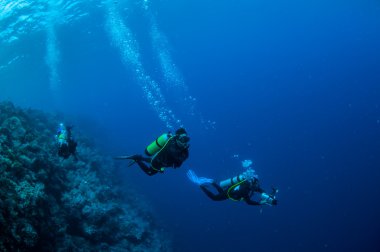 Banda, Endonezya sualtı fotoğraf Yüzme dalgıç