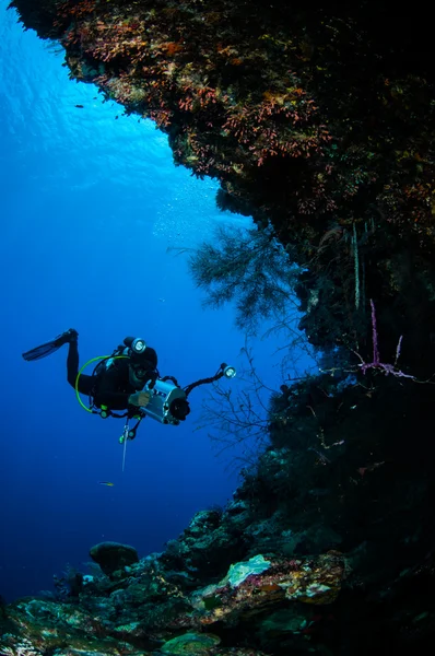 Potápěč plavání v podvodní fotografii Banda, Indonésie — Stock fotografie