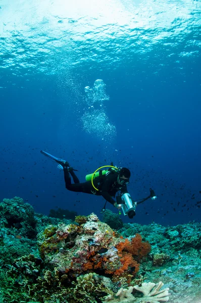 インドネシア バンダ ・水中写真で泳ぐダイバー — ストック写真