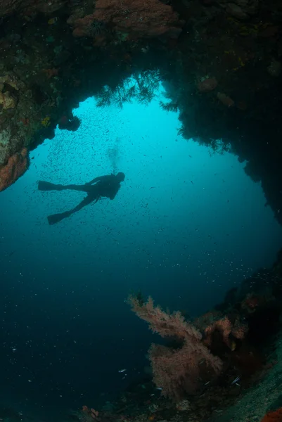 Búvár, tengeren fan-Ambon, Maluku, Indonézia víz alatti fénykép — Stock Fotó